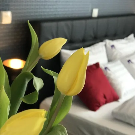 Apartamento Ciprus Porta